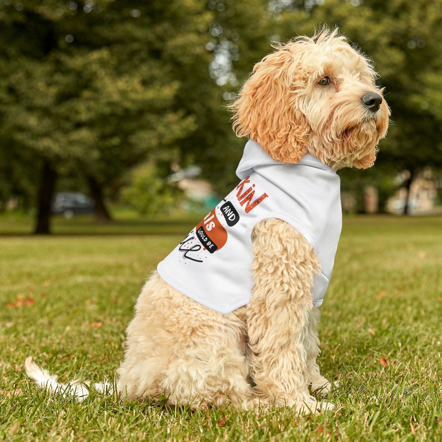 Pumpkin Spice & Referrals Pet Hoodie