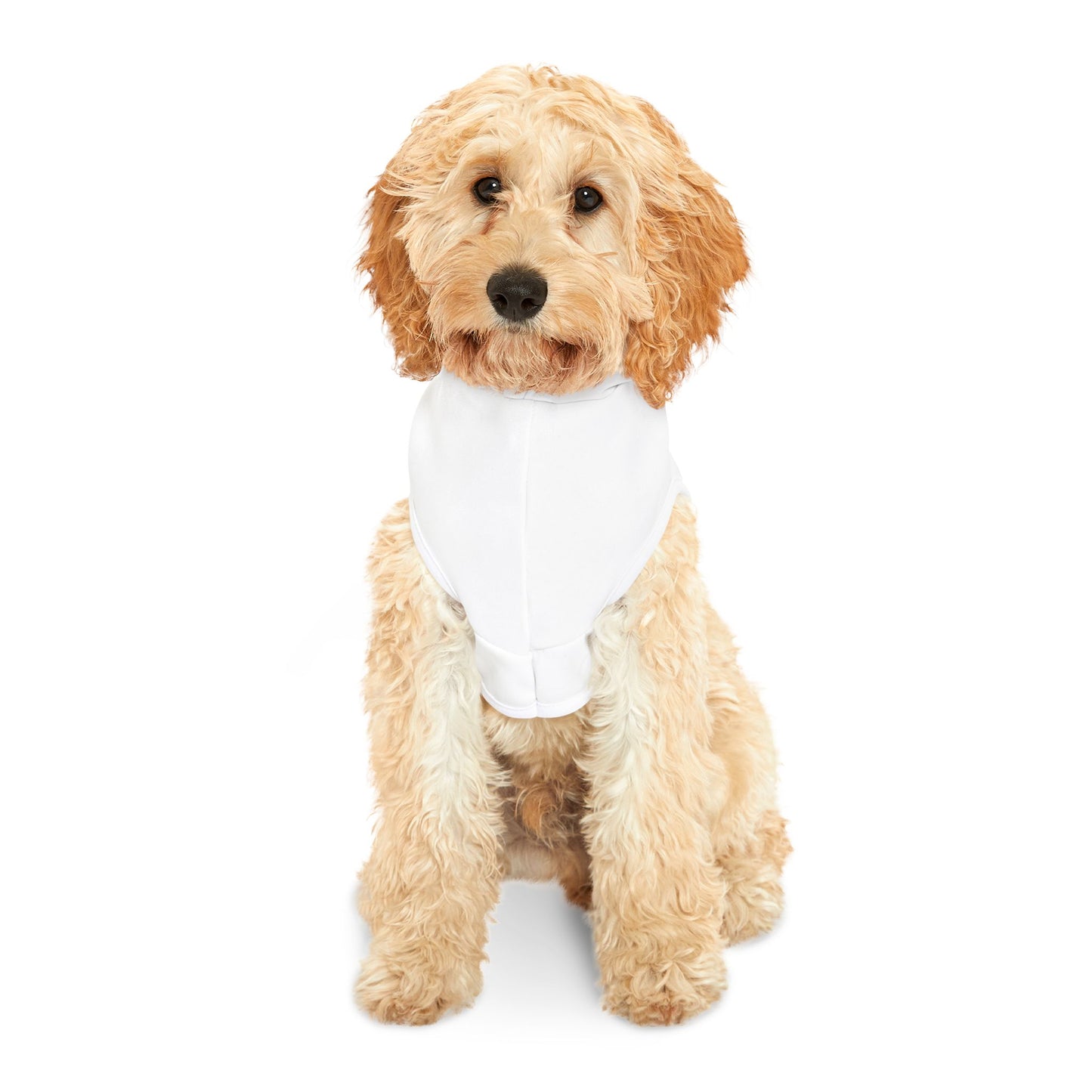 Pumpkin Spice & Referrals Pet Hoodie