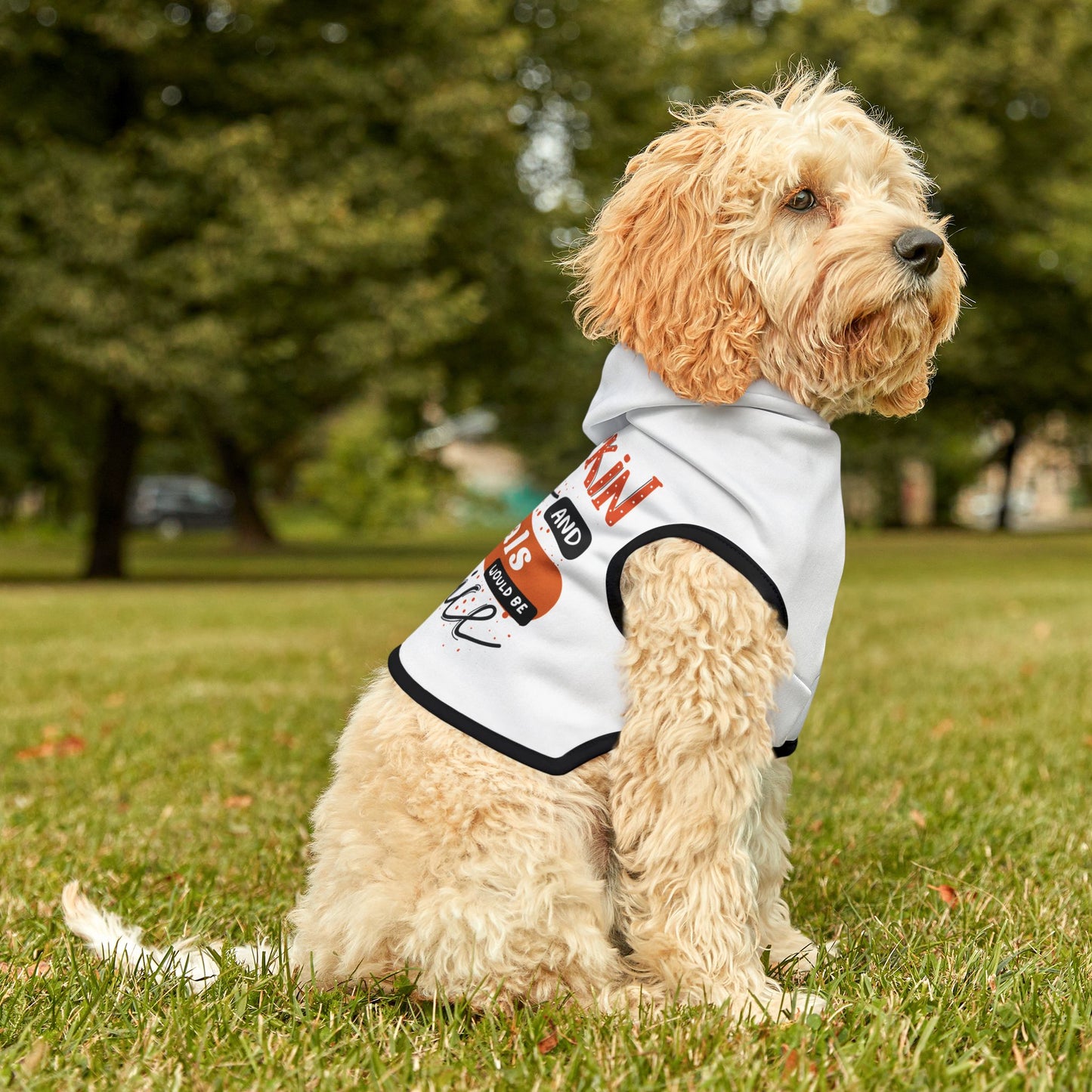 Pumpkin Spice & Referrals Pet Hoodie